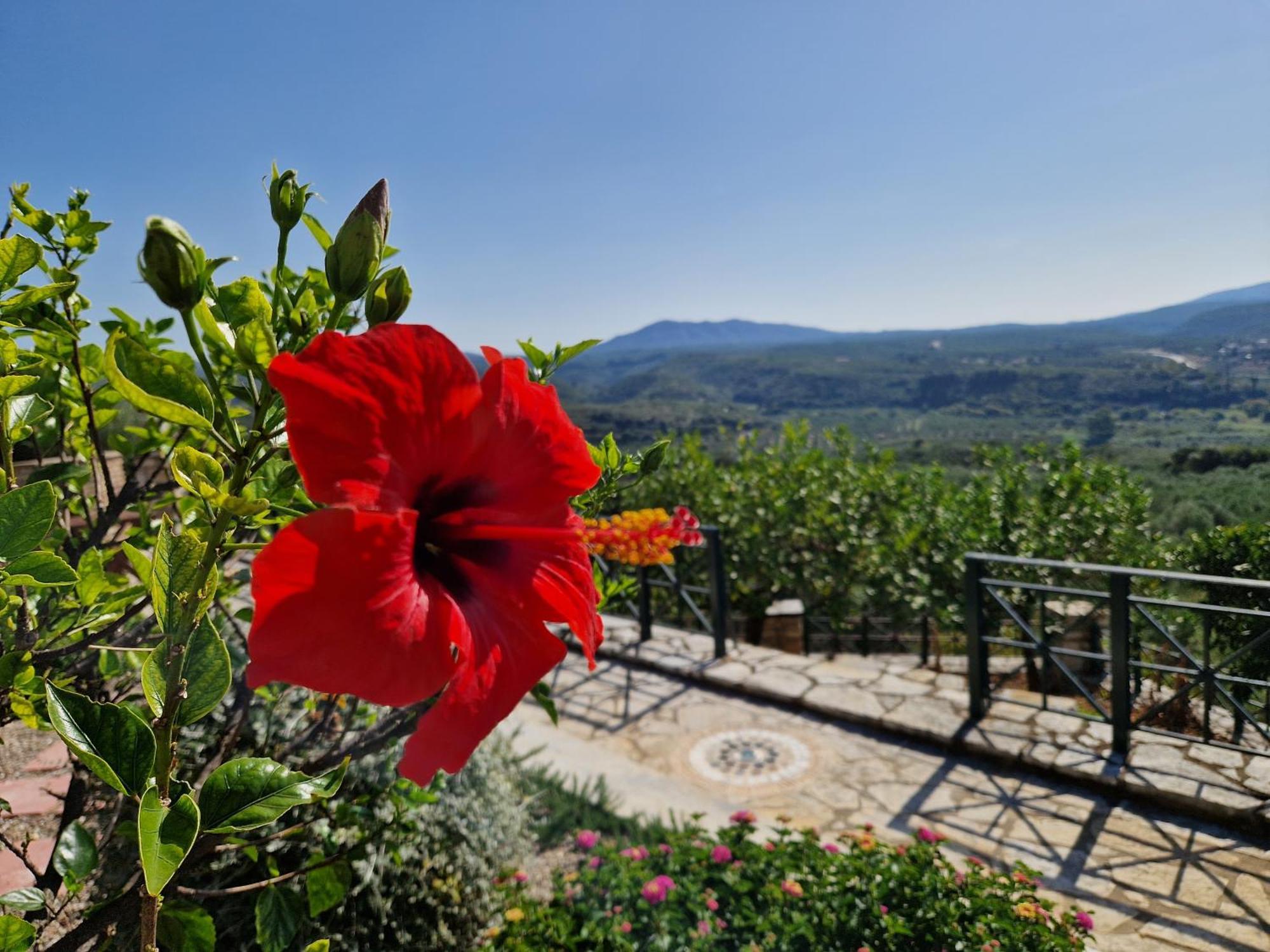 Tragana Villa Exterior photo